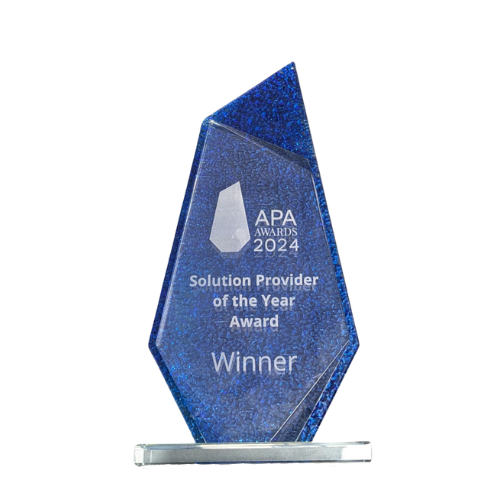 Winner - Solution Provider of the Year 2024 Award